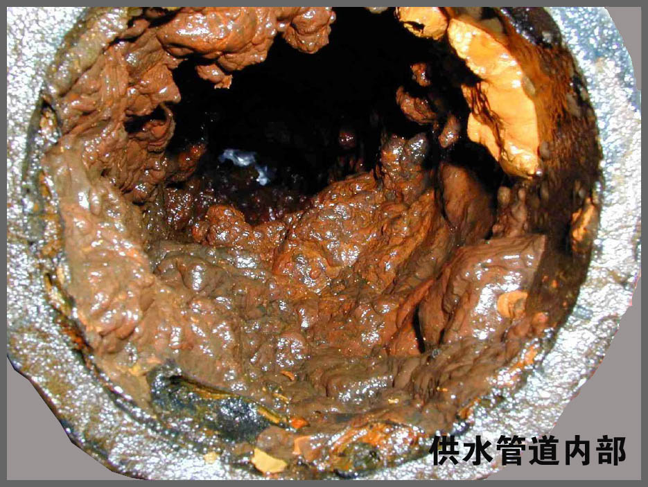 hth百科淨水機.jpg